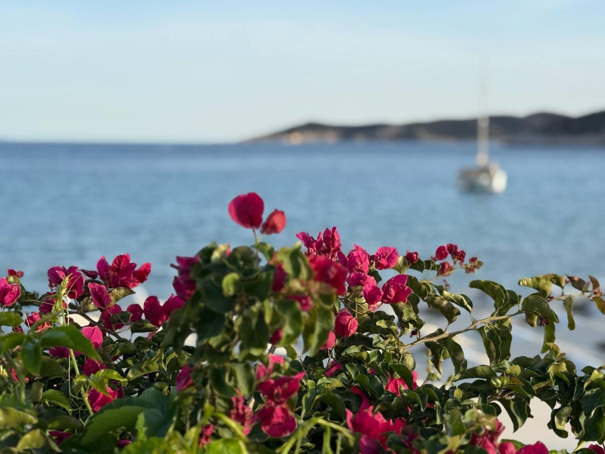 Kohylia Beach Guest House Platis Gialos  Esterno foto